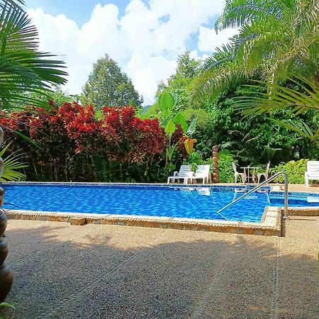 Hotel Khaosok And Spa Khao Sok National Park Dış mekan fotoğraf