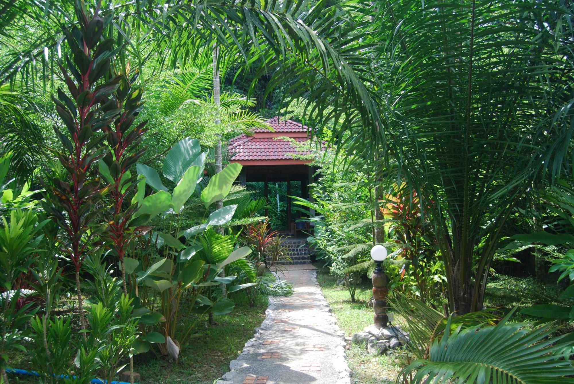 Hotel Khaosok And Spa Khao Sok National Park Dış mekan fotoğraf